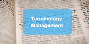 terminology management