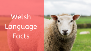 Welsh language facts